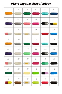 Capsules pour l'amélioration de la densité osseuse masculine, à la vitamine D3, <span class=keywords><strong>iode</strong></span> et zinc, 60 unités, 2 à prendre quotidiennement – Vente chaude transfrontalière directe usine - Product Image 6