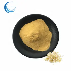 Mung Bean Sprout Extract Powder High Quality Green Bean Sprout Extract