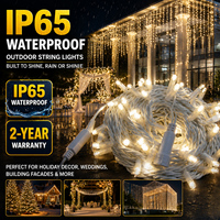 Guirlandes lumineuses LED scintillantes IP65 10M 50M 100M Câble en caoutchouc blanc Blanc chaud Façade de bâtiment Décoration commerciale toutes saisons pour les fêtes