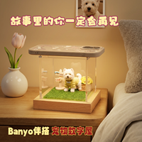Boîte de projection holographique numérique gonflable en bois pour chien compagnon, ornement commémoratif, personnalisation créative DIY