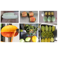 Machine automatique à éplucher les fruits à pain pastèque mangue éplucheur et trancheuse à la noix de coco verte