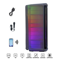 Boîtier de haut-parleur portable entièrement transparent 1500W 15 pouces, système de son audio professionnel DJ, système de haut-parleurs karaoké/PA BoChina