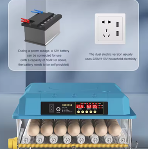 Incubateur Modèle Commercial Économe en Énergie et Respectueux de l'Environnement Adapté à l'Agriculture à Grande Échelle Extrêmement Efficace - Product Image 4
