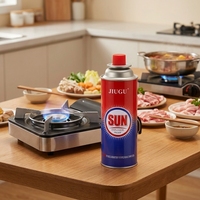 Barbecue portable moderne en métal à gaz butane pour cuisine extérieure, cuisson/cuiseur à charbon de bambou, coupe-vent et réglable