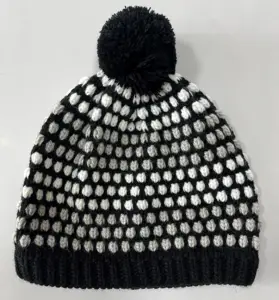 Nuovo cappello caldo lavorato a maglia per uomo e donna autunno e inverno freddo e antivento cappello di palla di lana alla moda cappello Versatile