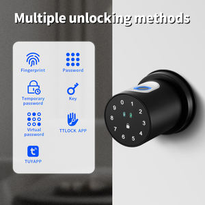Serrure de porte intelligente étanche avec application Tuya, empreinte digitale biométrique, clavier électronique, bouton de verrouillage pour maison moderne, bureau, porte en bois - Product Image 4