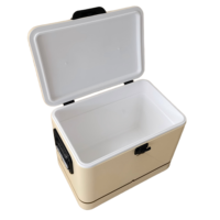 Contenitore Termico in Metallo da 30L/40L/50L, Borsa Frigo per Feste, Mantiene Fresco, Vendita Calda