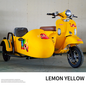 Motocicleta Eléctrica Retro con Sidecar, Vehículo Turístico, Scooter Vintage de Dos Ruedas para Uso en Zonas Turísticas - Product Image 3