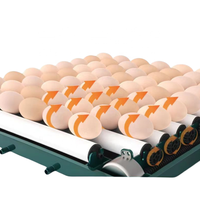 Bon équipement électrique multifonction automatique capacité des œufs incubateur facile à utiliser couveuse en plastique pour éclosoir de poulet