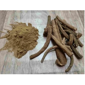 Extracto de Costus Natural, Extracto Herbal Líquido de Raíz de Costus, Ingrediente para el Cuidado de la Piel a Base de Plantas, Uso Botánico Puro - Product Image 3
