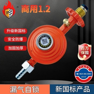 Vanne de réduction de pression GPL 220 mm 87 mm avec manomètre pour bouteille de gaz, norme nationale, action directe, passage direct - Product Image 3