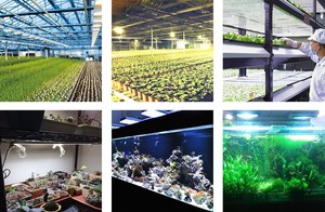Vente d'usine : puce LED <span class=keywords><strong>COB</strong></span> à spectre complet de 5 W haute puissance, lumière du soleil, 4000 K 5000 K blanc, avec cadre de type R1C - Product Image 5
