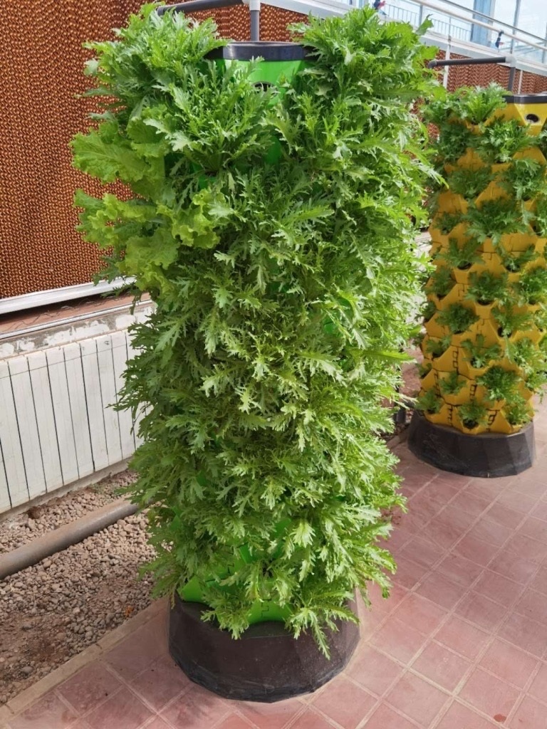 水耕栽培システム農業垂直成長野菜タワー| Alibaba.com
