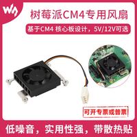 Raspberry Pi CM4 Special Fan FAN-3007 Refroidissement et refroidissement Ventilateur de refroidissement CPU à faible bruit