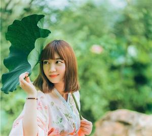 S-3517 Foglie di Loto Artificiali in Plastica per Decorazione di Laghetti e Fontane, Vendita Diretta dalla Fabbrica - Product Image 5