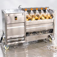 Wortelgroenten borstel- en schilapparatuur voor het wassen van aardappel, wortel, gember, yam, taro en cassave