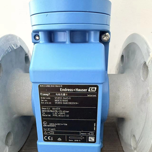 Medidor de Flujo de la Serie Promag P 200 de E+H Endress+Hauser con Salida de Pulso/Frecuencia/Digital - Product Image 6