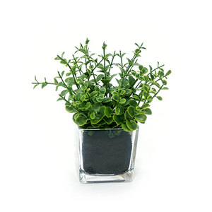 Vente flash : feuilles d'eucalyptus artificielles dans un vase en <span class=keywords><strong>verre</strong></span>, vert, 15 x 15 cm, pour la décoration de la maison, les mariages, les événements et l'extérieur - Product Image 1