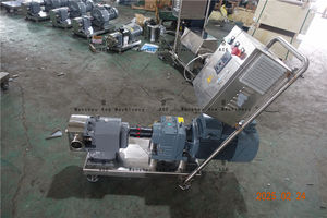 Bomba tipo engranaje de transferencia de acero inoxidable Ace, bomba de lóbulo rotativa de leva de 2-3 lóbulos para aceite comestible, jugo, mermelada, salsa, Ketchup, lechada de carne - Product Image 2