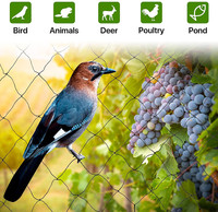 Empêcher le filet d'oiseaux de maille de jardin de chasse pour les filets anti-oiseaux en nylon de jardin pour le champ de riz