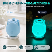 Vibrateur rose qui brille dans le noir, stimulateur clitoridien lumineux magnétique USB, jouet sexuel pour adultes pour femmes