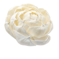 Diffuseur de parfum en roseau de haute qualité de 8 cm et 11 cm avec corde en coton, grande fleur de pivoine blanche naturelle en bois de sola