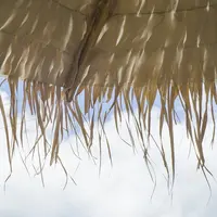 مظلة حشائش من هاواوي, مظلة مقاومة للعشب الطبيعي والرياح ، مناسبة للفنادق والشاطئ ، مناسبة للحدائق الخارجية والحديقة الكبيرة