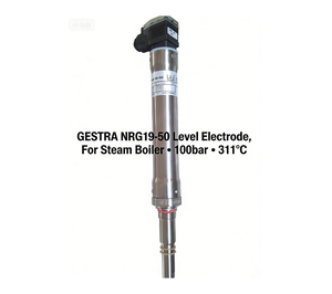 Electrodo de Nivel Conductivo GESTRA NRG 19-50 de 1500 mm para Calderas de Vapor, Protección contra Bajo Nivel de Agua - Product Image 2