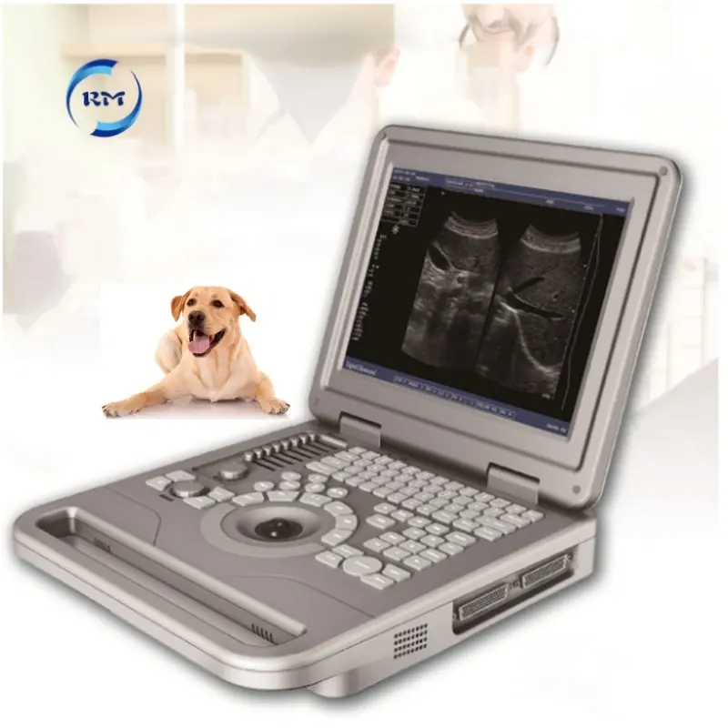 Rayman Veterinary Laptop Ultrasound Medical Equipment for Sale Ultrasonic Diagnostic Instrument ultrasound scanner