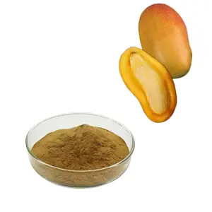 マンゴー種子有機純粋天然食品グレード新鮮エキス粉末