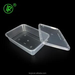 Buy Wholesale China Disposable Compartment Food Container Custom Disposable  Plastic Bento Box With Lid & Disposable Plastic Bento Box With Lid at USD  0.18