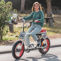 Bicicleta eléctrica de 20 pulgadas con neumático ancho, 500 vatios, a la venta, precio barato, vintage, con batería, dos asientos