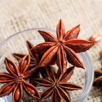 Anis étoilé entier séché naturel, épice en vrac, qualité A, casher, halal, nouvelle récolte, emballage sous vide
