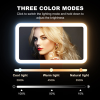 Vente en gros Mini miroir de poche à LED compact et flexible pour le maquillage