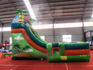 Dongyuan Park Play لعبة ملاهي تجارية منزلقات جافة داخلية قلعة قابلة للنفخ للأطفال - Product Image 2