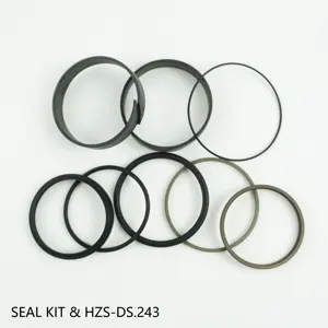 Railway Parts Railway Tamping Machine Unit Seal Kit Parts Number HZS.DS.401