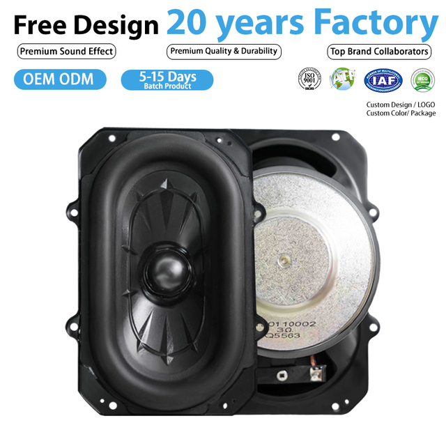 6.5 Inch 3 Ohm 80W Consumer Grade Subwoofer Speaker for Home & Portable Audio