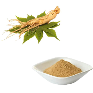 Extrait de Ginseng Américain Naturel en Poudre Qualité Alimentaire Herbacé Extraction Liquide-Solide 10:1 Emballage Sous Vide en Fût 2 Lots - Product Image 2