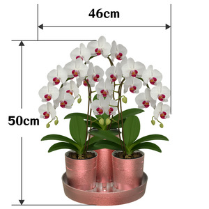 Caja de regalo de tubo de Orquídea de oro rosa, conjunto de tubo Floral ABS galvanizado para Navidad, Acción de Gracias y regalos de boda - Product Image 6