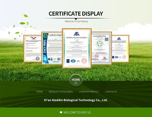 Supplementen Nu Private Label Oem/Odm Groothandelsprijs Ginkgo Biloba Extract Capsules 500Mg Biologische Ginkgo Biloba Capsules - Product Image 6