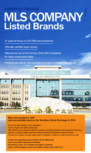 השכרת שלב קיר וידאו הוביל 2.9, מסך מסך תצוגה נייד השכרת חיצוני, מסך תצוגת קיר וידאו נייד הוביל - Product Image 3