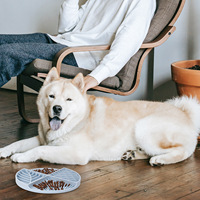 Fournitures pour animaux de compagnie Soulagement de l'anxiété Personnalisé Mangeoire lente Chien Chat Lécher Pad Pet Lèche Mat Silicone Chien Lécher Tapis