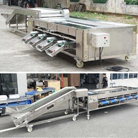 Sorteermachine Sorteerder Fruit Mango Citroenguave Kardemom Wash Waxen Productielijn Voor Kiwi