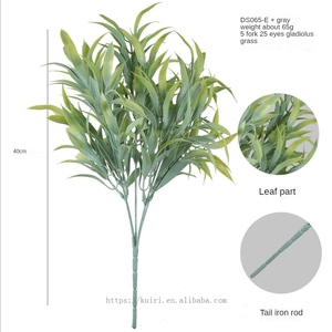 Vente Flash 2026 : Décoration de Mariage et d'Intérieur <span class=keywords><strong>en</strong></span> Eucalyptus de Qualité Supérieure - Product Image 3