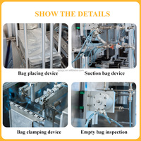 Machine à emballer de sachets de farine de poudre de détergent Machine à emballer de sachets fabriquée Pr-made