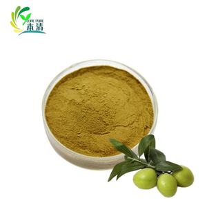 Ekstrak Daun Zaitun Alami <span class=keywords><strong>Oleuropein</strong></span> Hydroxytyrosol 98% Murni, Pasokan Pabrik, Laris Manis, Ekstrak Herbal, Tanpa Pelarut - Product Image 1