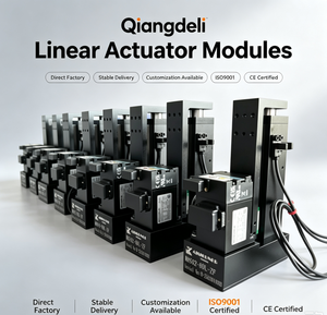 Actuador Lineal Eléctrico ARLON, Cilindro de Émbolo con Cuerpo de Acero, Modelo Estándar ZXG1S05-S5LPYL, Certificado ISO9001 y CE - Product Image 3