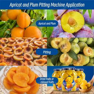 Máquina Deshuesadora de Fruta de Albaricoque de Alta Calidad, Máquina Eléctrica para Quitar Semillas de Fruta, Máquina para Quitar Huesos de Albaricoque y Aceitunas - Product Image 6