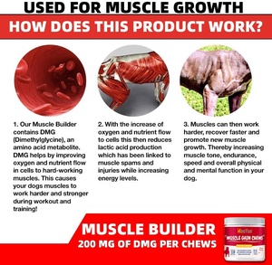 Prade תווית שריר להשיג לועס תוסף חלבון עבור כלבים תומך בבונה שרירים, מערכת החיסון לחזק עם ויטמינים - Product Image 2