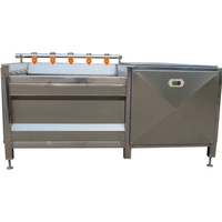 Fabrieksuitverkoop: Automatische aardappelwas- en schilmachine op maat